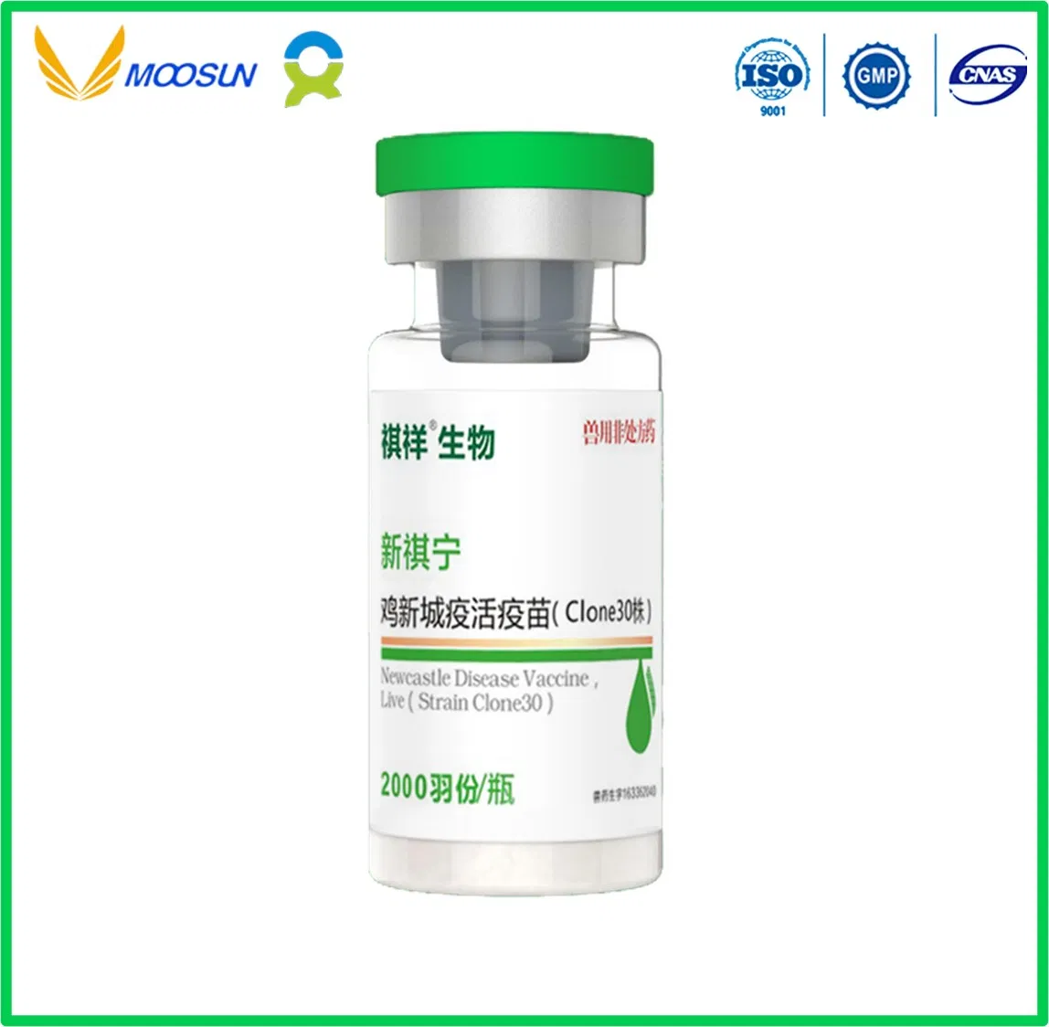 High Quality Animal Live Vaccine Infectious Bronchitis (IB) (Strain H52) GMP Factory