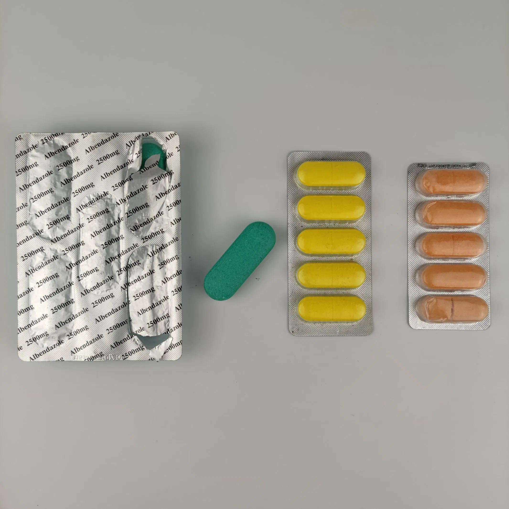 Schistosomiasis Prevention and Control Plan: Antibacterial Drug Disease Treatment