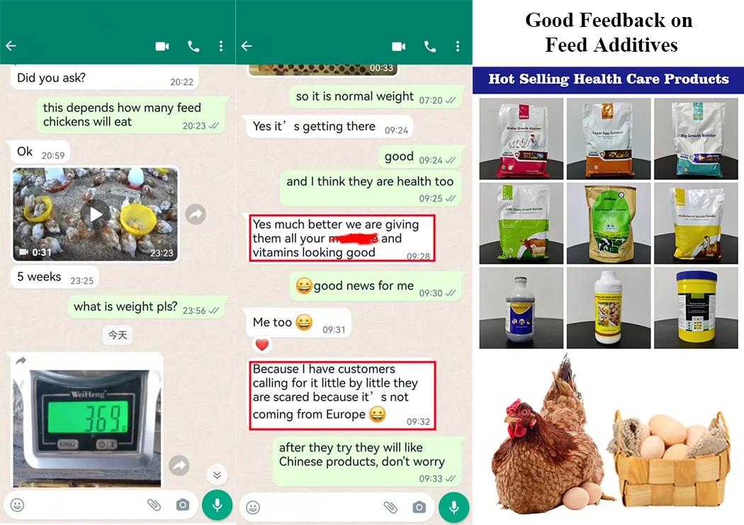 Production Line View