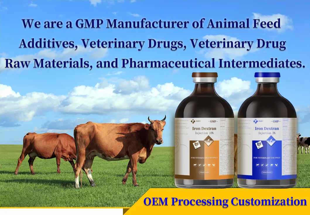 Iron Dextran Injection