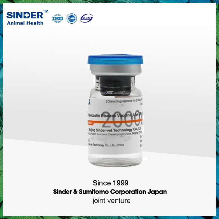 Newcastle Disease Live Vaccine for Poultry Bird Chicken Duck Use