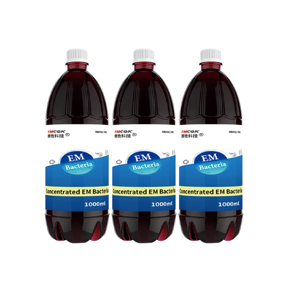 Concentrated Em Bacteria for Aquaculture, Suitable for Fish, Shrimp, Turtle and Bullfrog Farming, Probiotics, Customized Price Discount