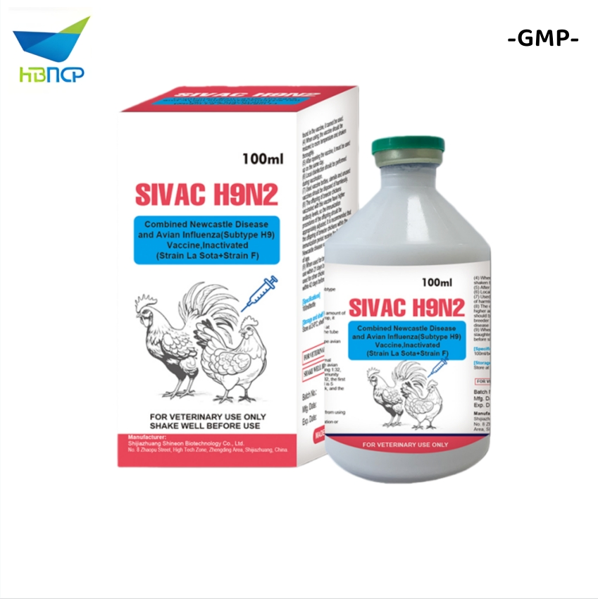 High Quality GMP Factory OEM Newcastle Disease Infectious Bronchitis Avian Influenza H9 Subtype and Infectious Bursal Disease Vaccine Inactivated Chicken Vacci