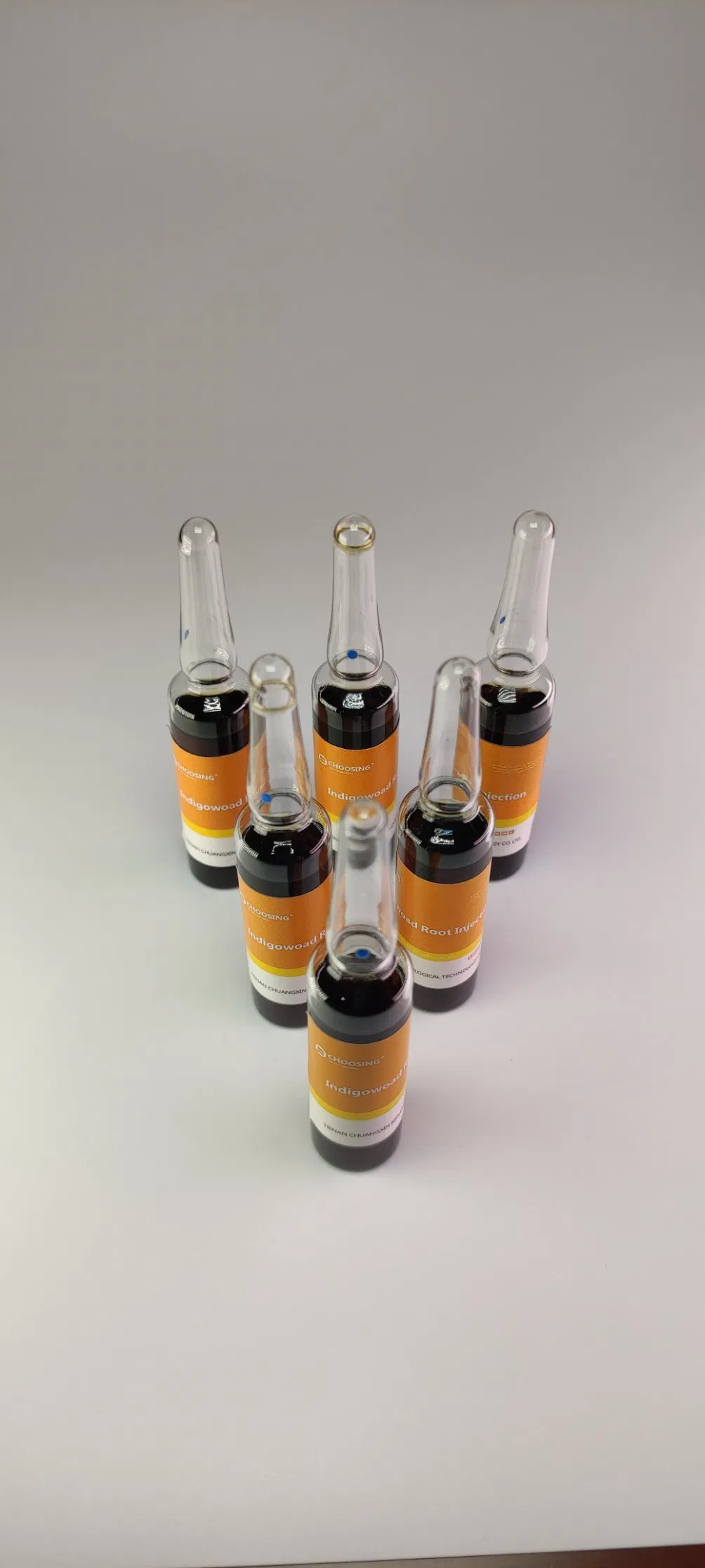 Veterinary Drugs for Respiratory Diseases: Radix Isatidis Injection for Antibacterial, Antiviral, and Immune Regulation