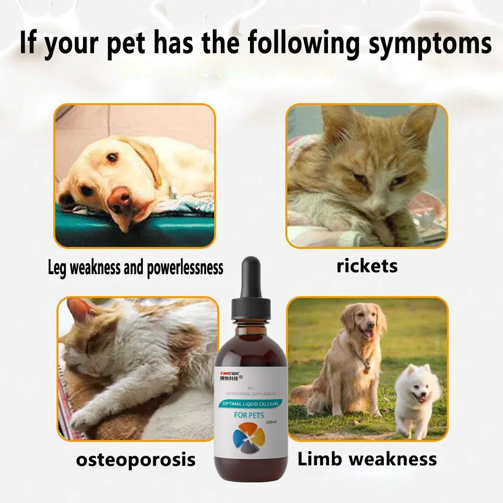 Pet Medicine Best Concentrated Liquid Calcium Nutritional Supplement Veterinary Medicine for Cats and Dogs Osteochondria