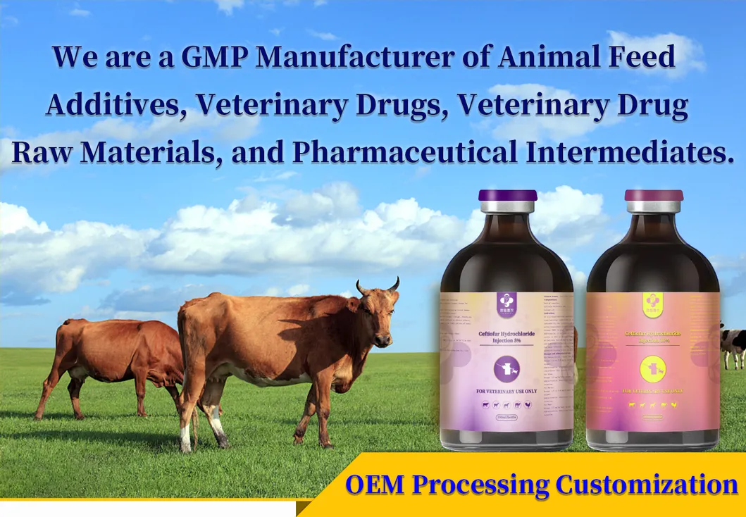 Veterinary Medicine Presentation