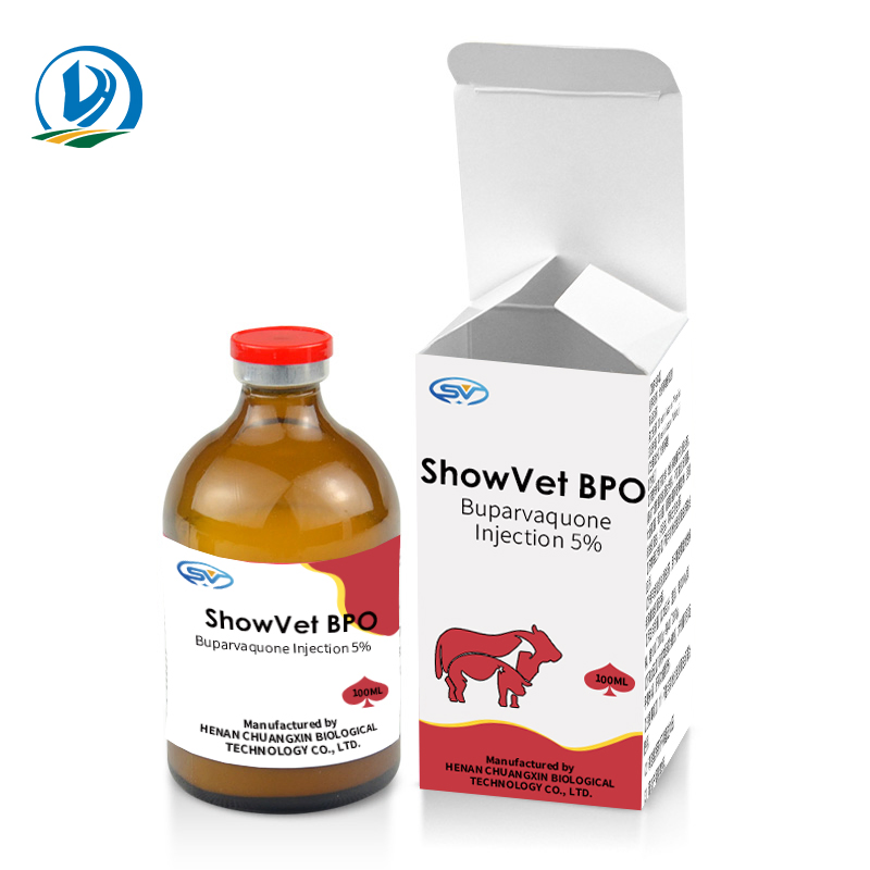 GMP Anti-Inflammatory Drugs 10ml Flunixin Meglumine Injection Veterinary Medicine Drugs for Cattle/ Pigs