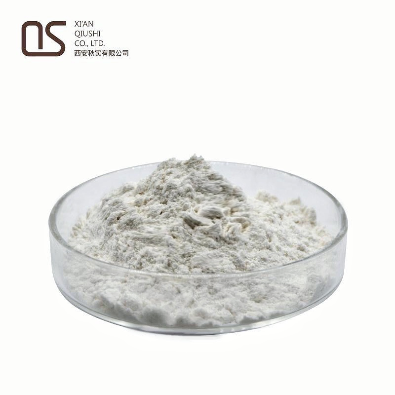 Anti-Cancer CAS 302962-49-8 Dasatinib Powder Dasatinib