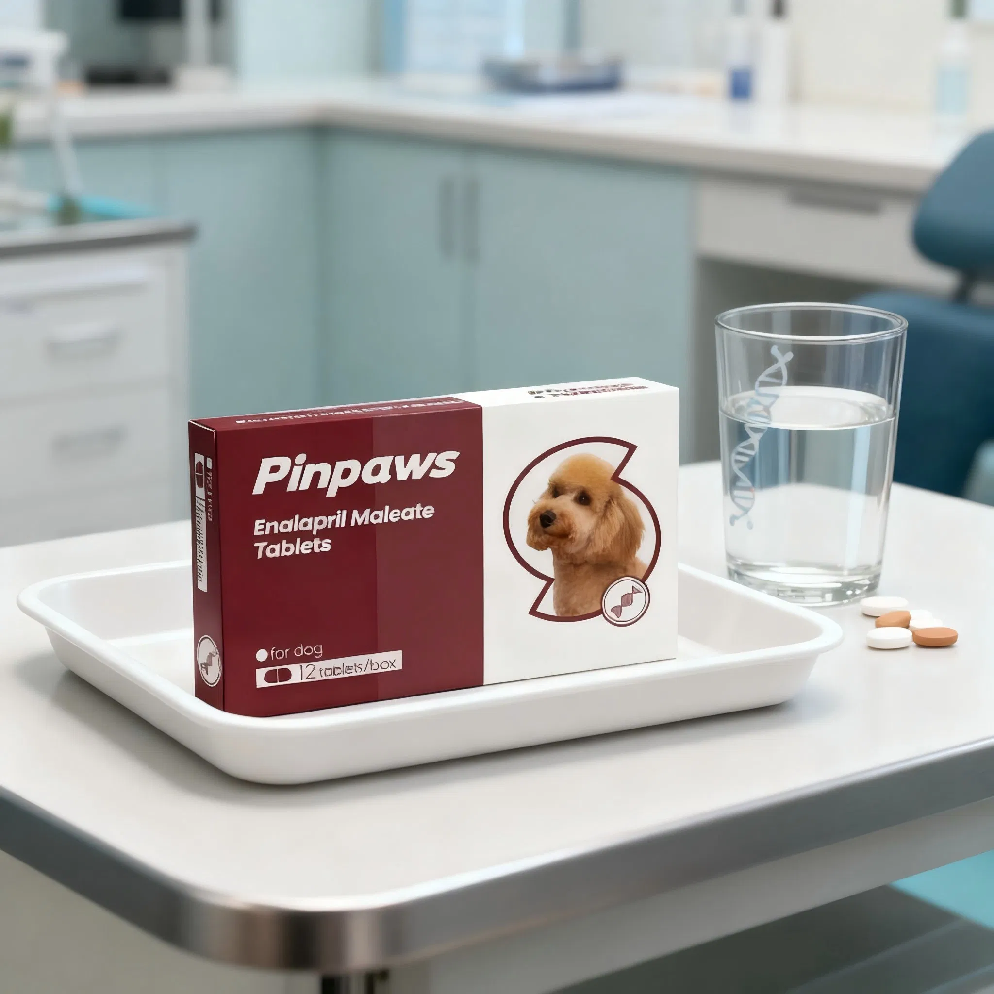 Enalapril and Diuretic Combination Therapy for Advanced Heart Failure Dogs