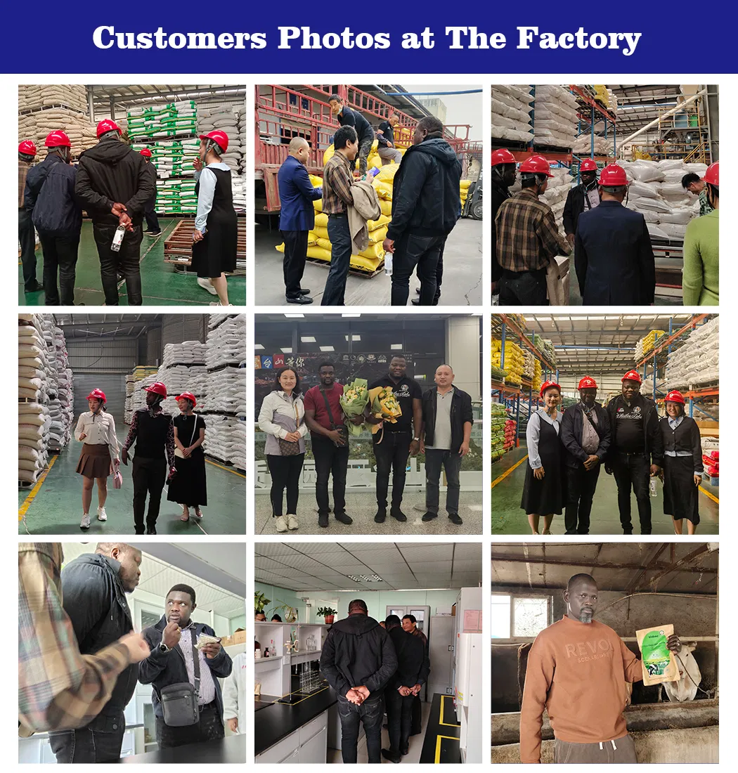 Hot Selling Veterinary Drug 2