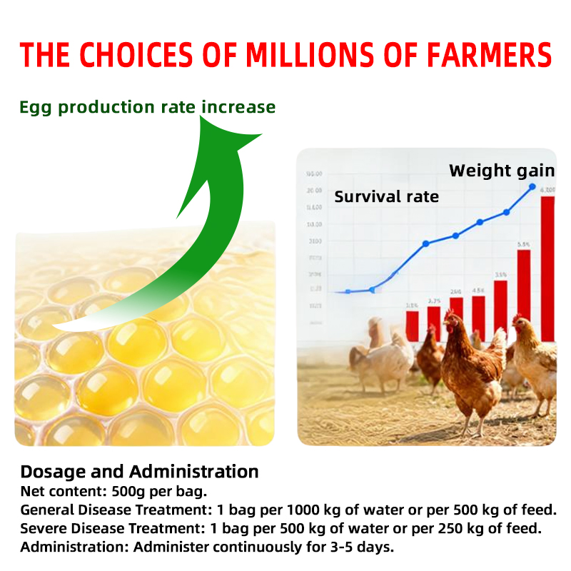 Chenyuan Weiling: Synergistic Poultry Health Supplement - Enhances Drug Efficacy &amp; Alleviates Immunosuppression