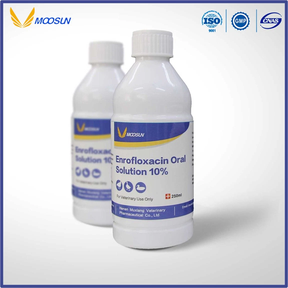 Veterinary 10% 20% Enrofloxacin Oral Solution Animal Drugs