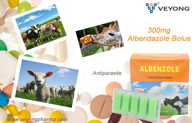 Veterinary Medicine 2.5% 10% Albendazole Oral Solution Animal Drug From GMP Manufacturer
