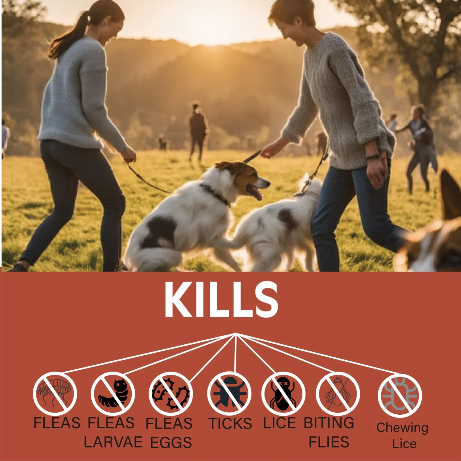 Flea and Tick Prevention Supplement for Large Dog, Pet Repelling Tick Drug, Fluralaner Deworming Drop Treatment