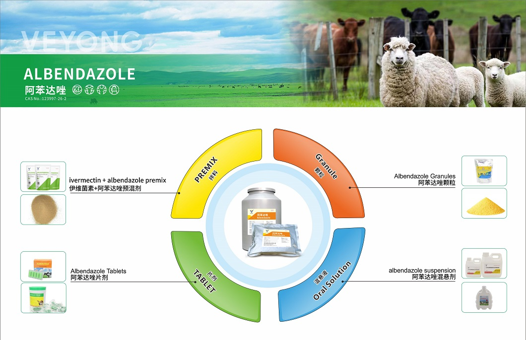 Veterinary Medicine 2.5% 10% Albendazole Oral Solution Animal Drug From GMP Manufacturer