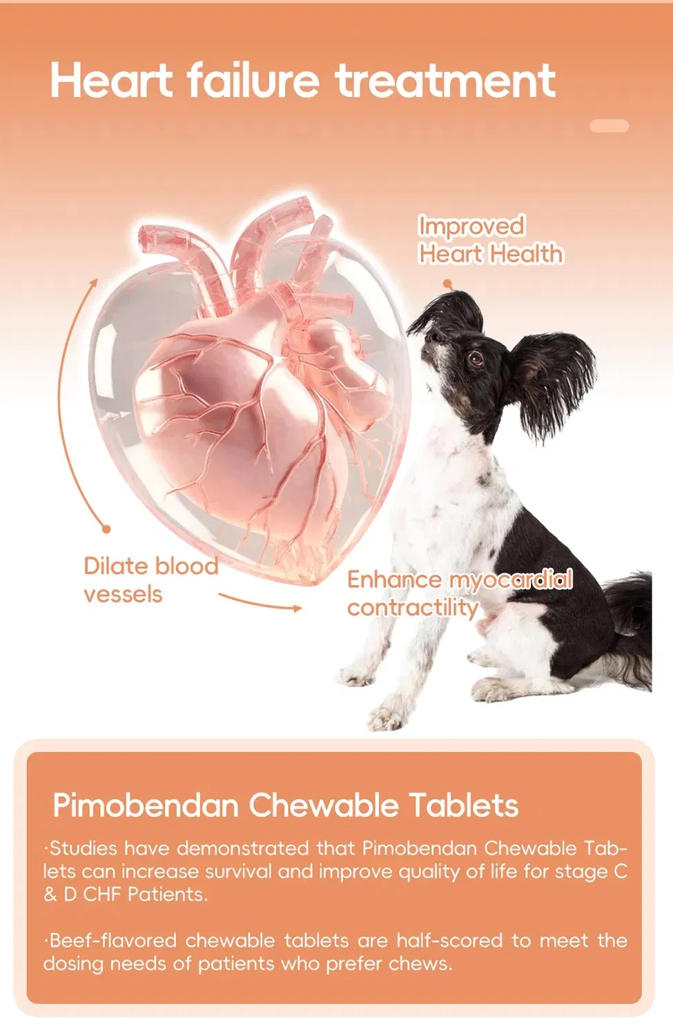 Generic Vetmedin Chewable Tablets Pimobendan for Canine Dcm and Mmvd Treatment