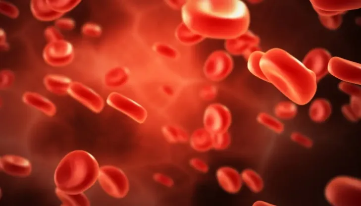 Argatroban Application