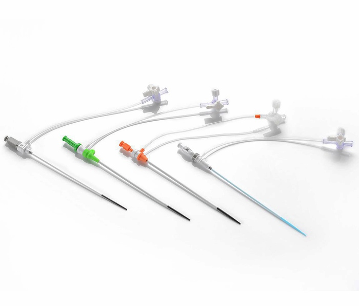 Disposable Products 4f-10f Radial Vascular Guide Wire Introduction Catheter, Ureteral Access Percutaneous Femoral Introducer Sheath Kit