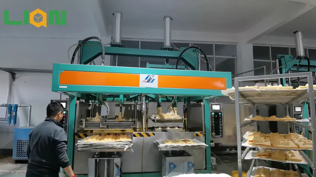 Pulp Molded Packaging View 4