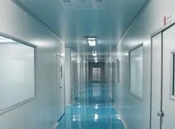 Purification workshop