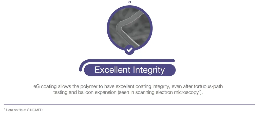 Coating Integrity Detail 2