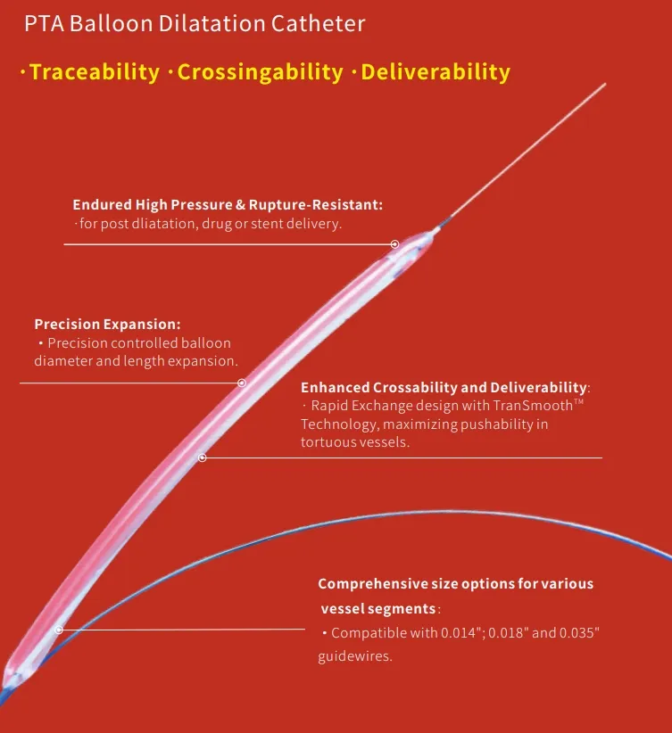 PTA Balloon Catheter Parameters
