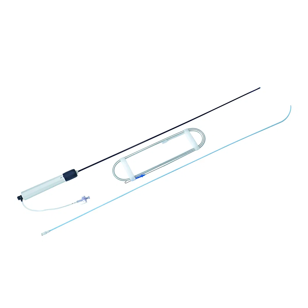 Intracardiac Access Sheath 1