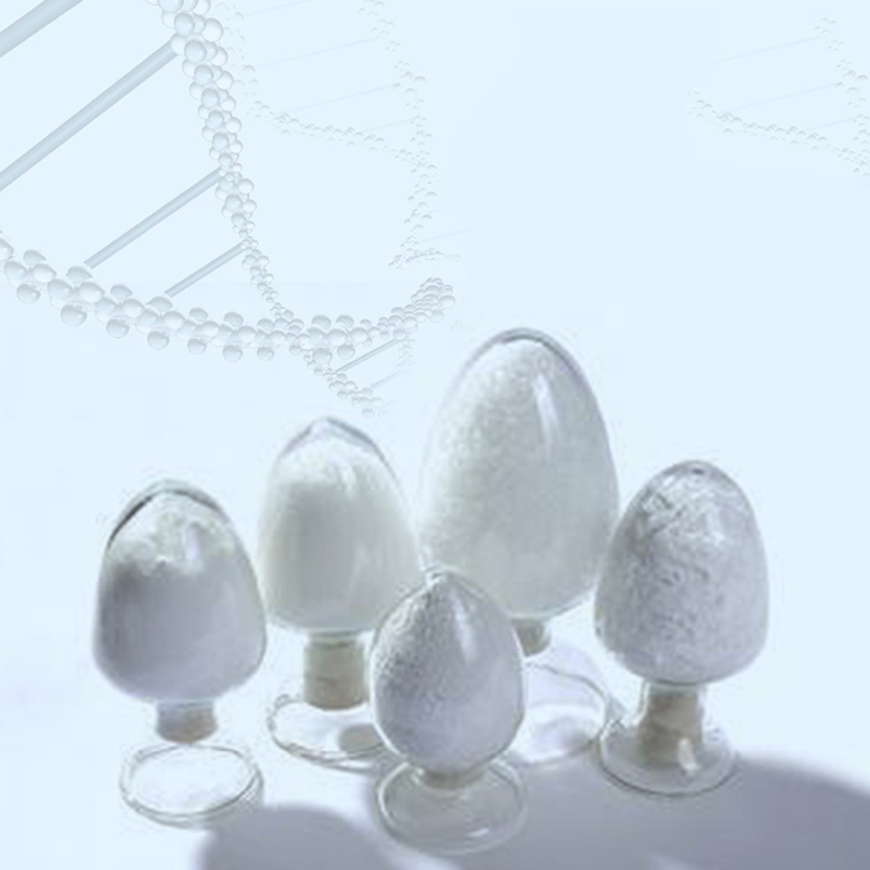 Poly Lactic Acid Polymer for Tissue Engineering Scaffolds Biodegradable