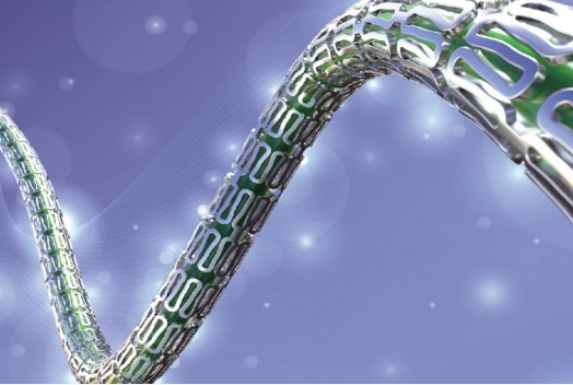 Ht-Supreme Drug Coated Coronary Stent System