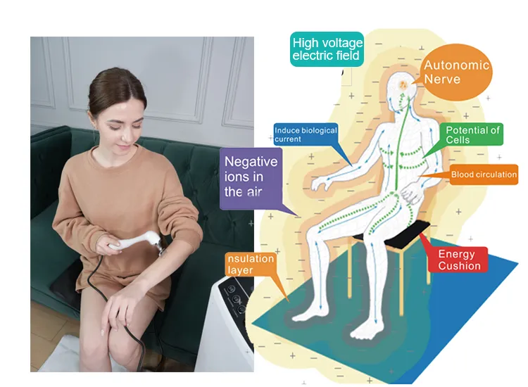 Therapy Principle Chart