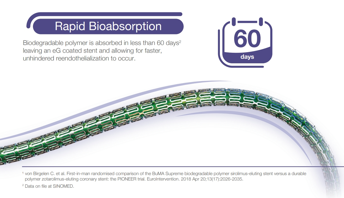 Ht-Supreme Drug Coated Coronary Stent System