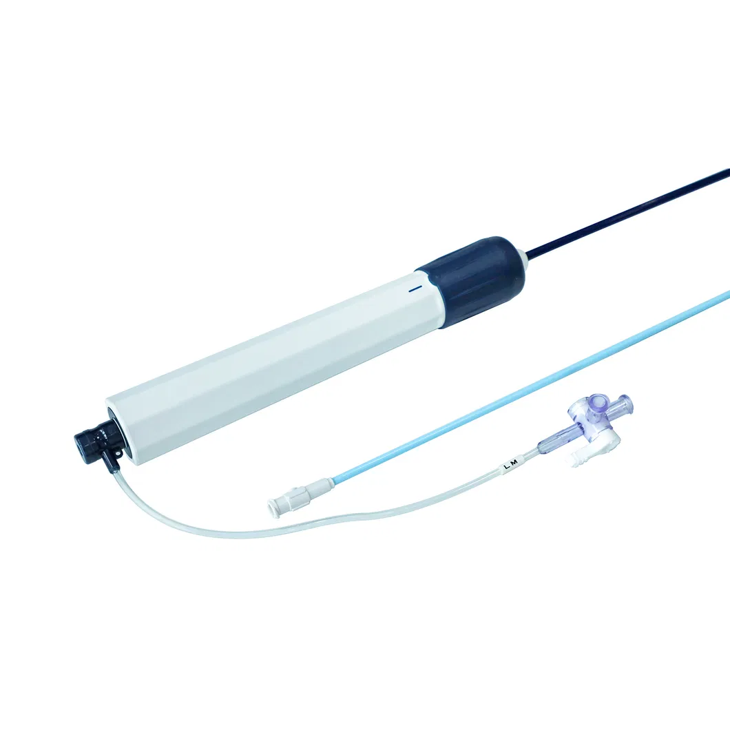 Intracardiac Access Sheath 2