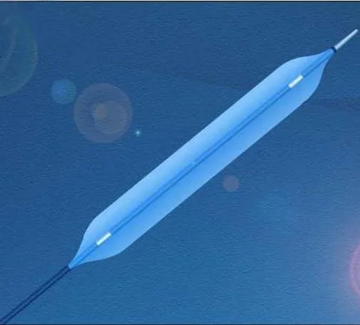 Disposable PTCA Balloon Dilatation Catheter Detail 2