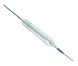 Sirolimus-Eluting Bioresorbable Coronary Stent Implant
