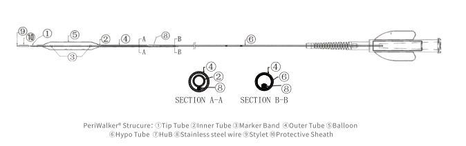 Reliable Pta Balloon Dilatation Catheter for Enhanced Patient Outcomes