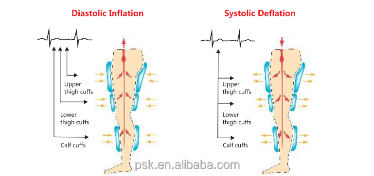 EECP Mechanism