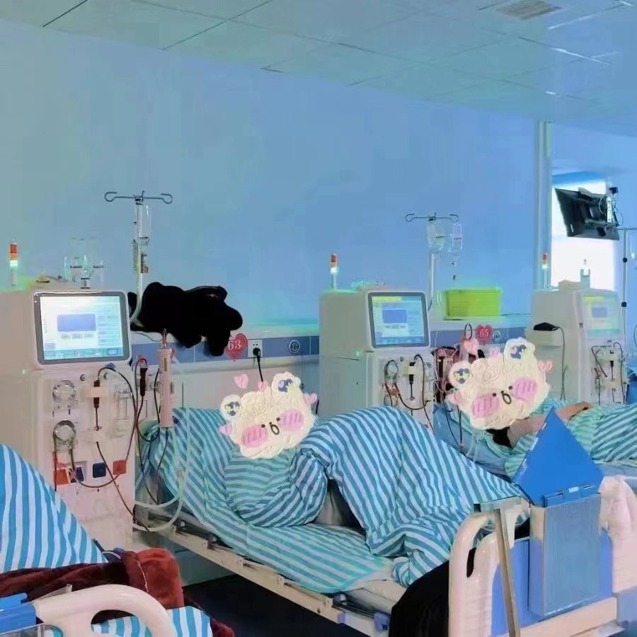 Medical Equipment Kidney Failure Hemodialyzer