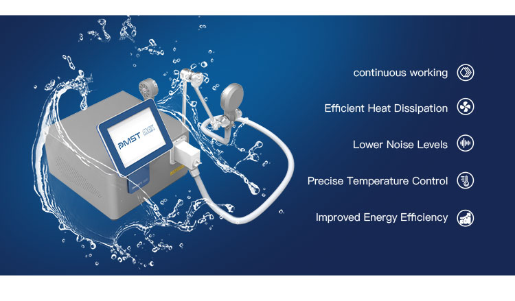 Newangie Pmst Neo Magnetotherapy Device for Relief of Chronic Pain