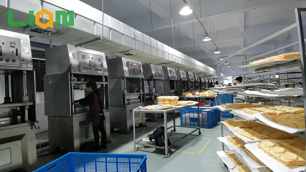 Pulp Molded Packaging View 3