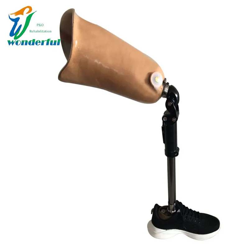 Prosthetic Leg Detail 2