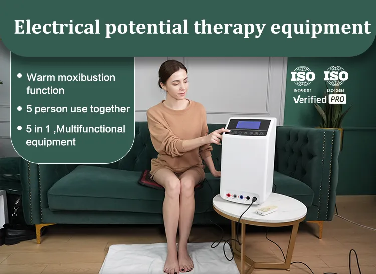 Electric Potential Therapy Device