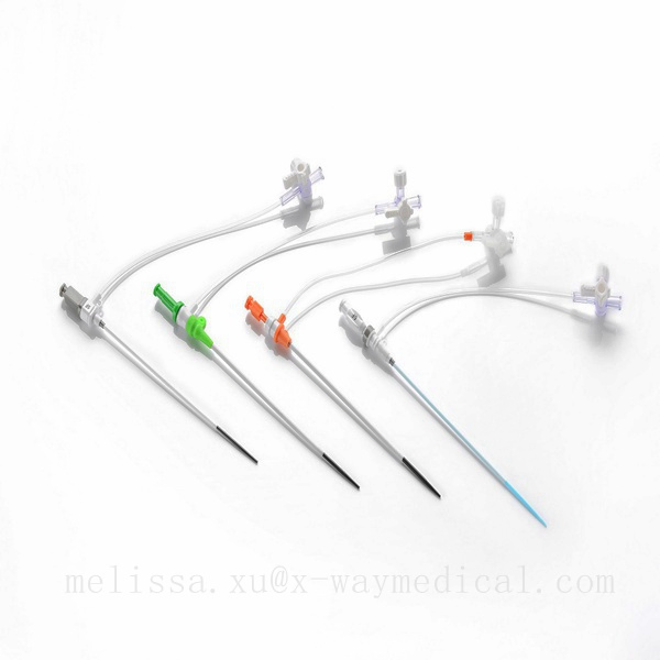 Disposable Products 4f-10f Radial Vascular Guide Wire Introduction Catheter, Ureteral Access Percutaneous Femoral Introducer Sheath Kit