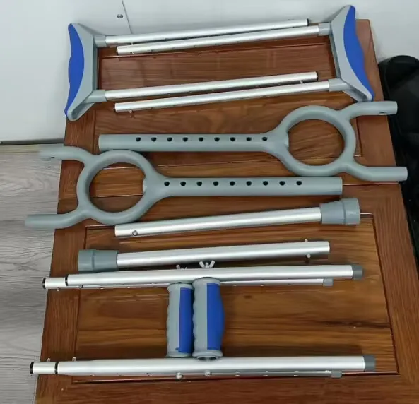 Walking Stick Detail 1