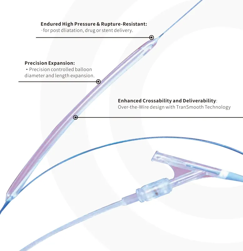 PTA Balloon Dilatation Catheter Technical View