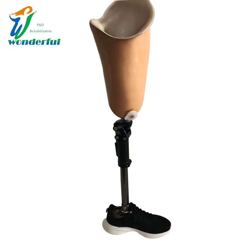 Artificial Prosthesis Leg Detail 1
