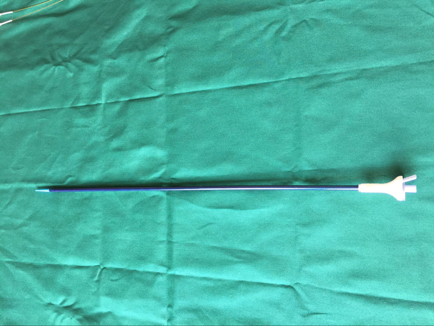 Biocompatible Renal Ureteral Access Sheath