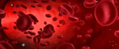 Clinical Application