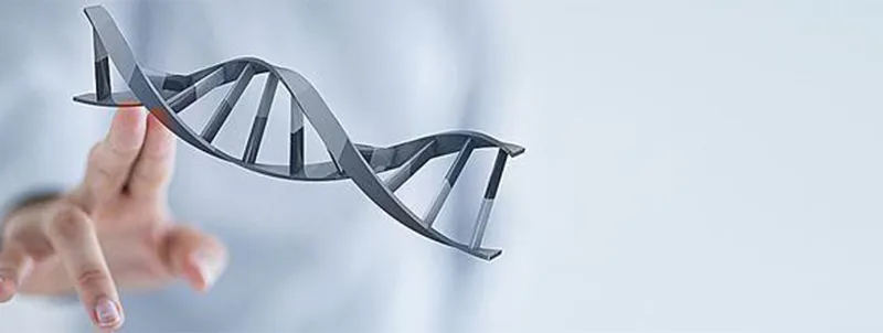 PLLA Product Details