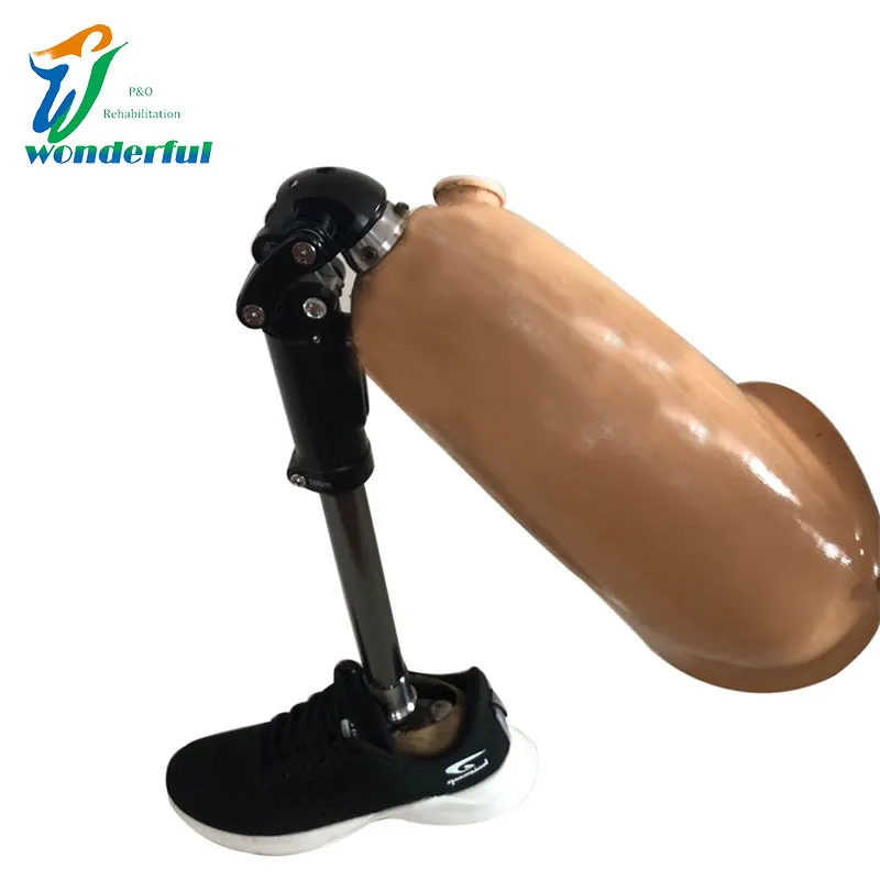 Artificial Prosthesis Leg Detail 3