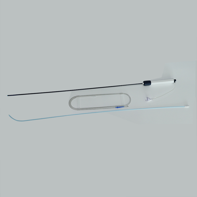High Quality Intracardiac Access Sheath for Radiofrequency Ablation Patient